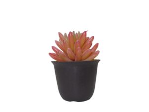 Artificial RED Succulent Plant Ornament