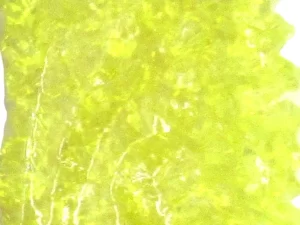 Diamond Coloured Stones