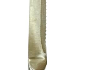 Dharti Stainless Steel 10" Bread Knife