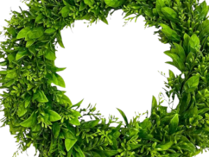 Plastic Wreath 24"