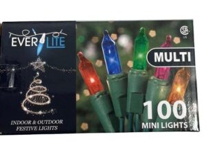 Everlite Indoor/Outdoor Multi Coloured 100 Mini Lights (3pcs)