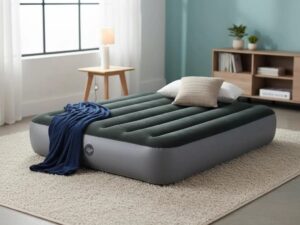 Intex Dura-Beam Air Mattress (60"×80"×10"- built in pump)
